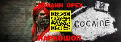 стафф Гай