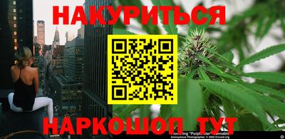 дживик Гатчина