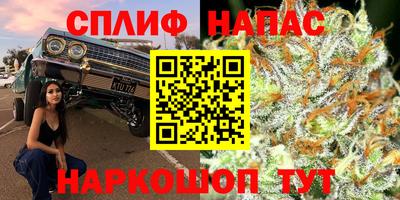 стафф Гай