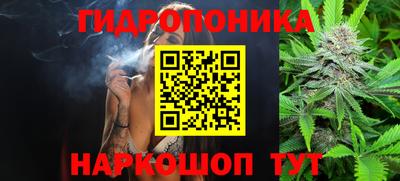стафф Гай