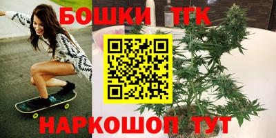 стафф Гай