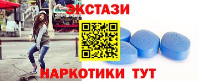 стафф Гай