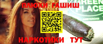 стафф Гай