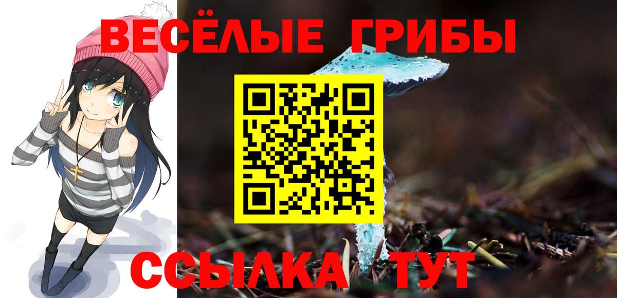 Мценск  Галлюциногенные грибы GOLDEN TEACHER  Вход с VPN 